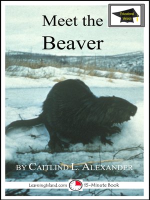 cover image of Meet the Beaver